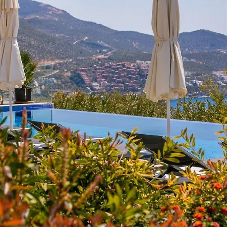 Lapis - Kalkan *