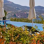 Lapis - Kalkan *